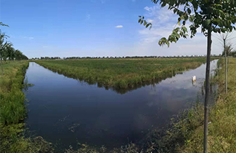 我公司承擔的蒙城縣“旱改水”項目為第一個通過省級驗收備案項目