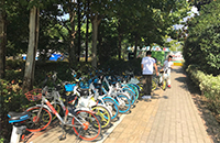 文明與你同行 · 創(chuàng)建從我做起