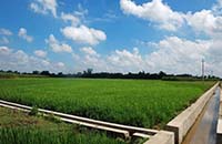 關于我司受邀參加安徽農墾旱改水項目工作座談會