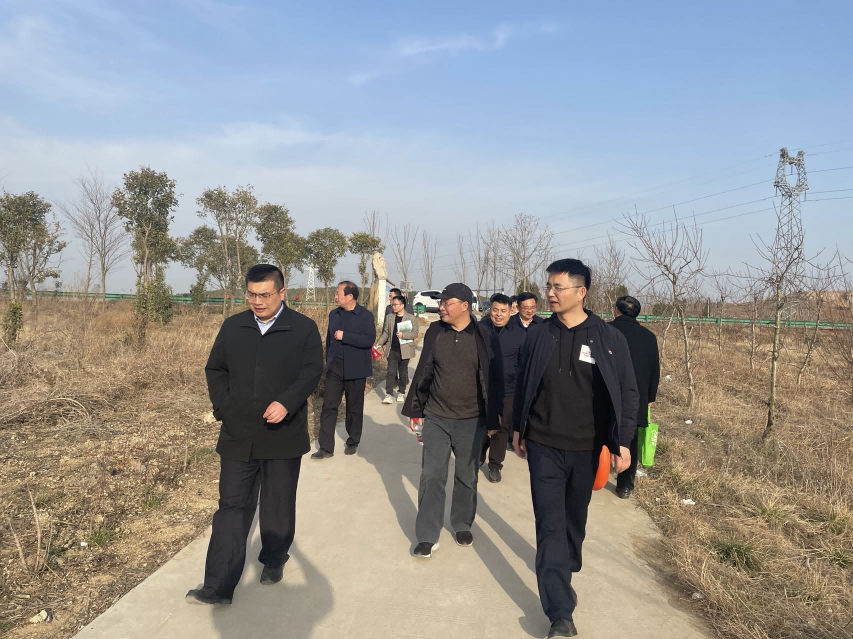 國家級試點項目協同調研——完善落實政府政策獲肯定